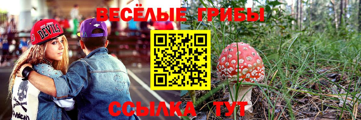 Псилоцибиновые грибы мицелий  Вход с VPN  Псилоцибиновые грибы GOLDEN TEACHER  Гулькевичи 